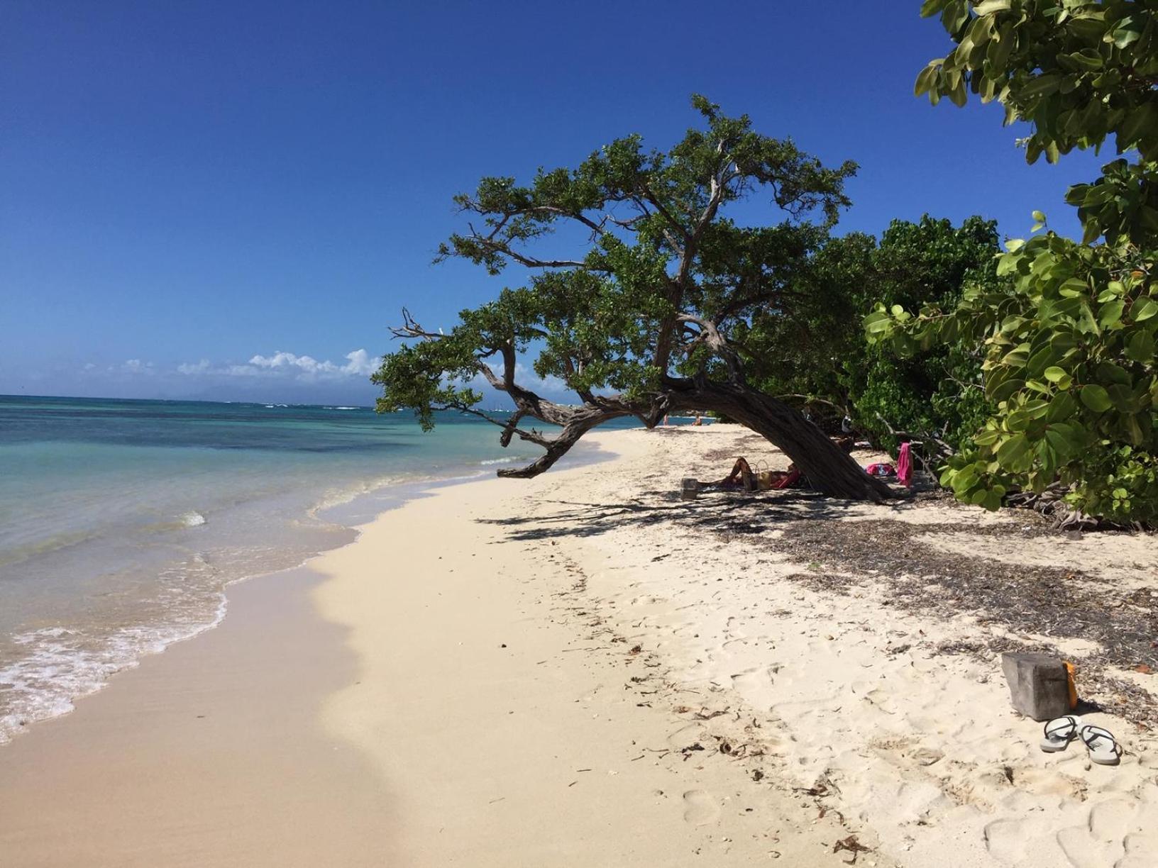 Villa Les Saintes 4/5 P A 50M De La Plage De L'Anse De Mancillier Exterior foto